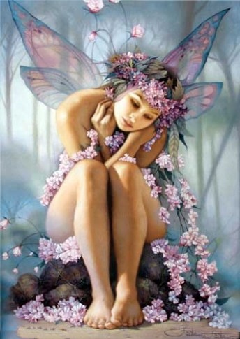 Fairy